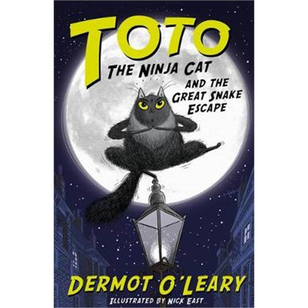 Toto the Ninja Cat and the Great Snake Escape (Paperback) - Dermot O'Leary